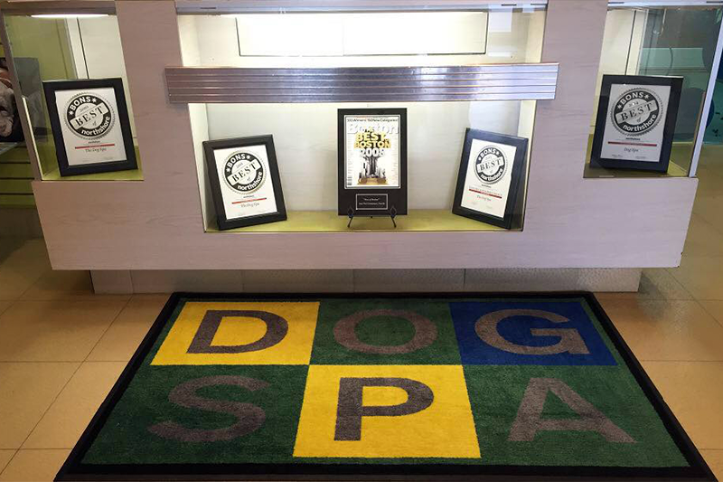 Awards, Dog Spa mat