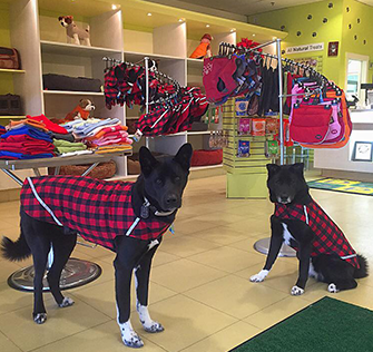 Store & Dogs Wearing Products